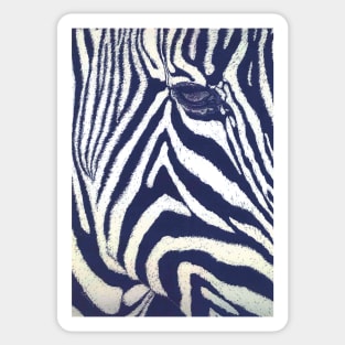 Serengeti Stripes Sticker